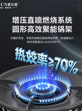 爱仕盾5.2kW猛火双灶燃气灶家用