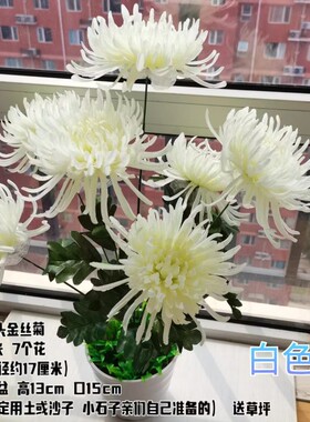 扫墓扫墓花摆放墓地墓碑