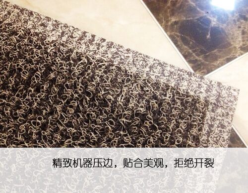 定制地毯门垫进门门口丝圈地垫入户玄关门垫脚垫进门地垫门厅门垫 - 图2