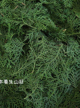 侧柏叶茶油柔顺乌发纯植物冷制皂