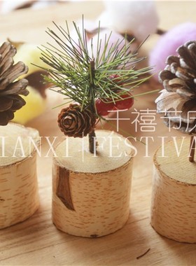 diy微景观松果装饰摆件