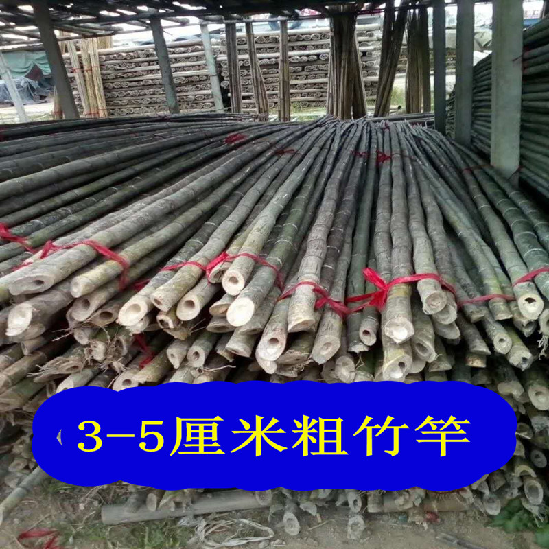 天然长竹杆1米2米3米4米5米6米竹竿粗竹竿毛竹杆旗杆跳舞杆婚庆,淘宝优惠券,粉丝福利购,淘宝优惠卷