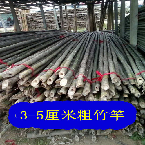 竹竿竹杆菜园搭架彩旗竹杆爬藤竹竿豆角架黄瓜架菜架 - 图0
