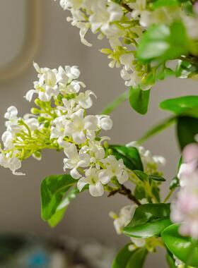 高档仿真花仿生桂花塑料装饰