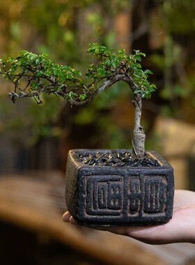 仿石汉砖中式复古富贵小花盆摆件