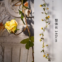 Rose Teng (Wei Huang)