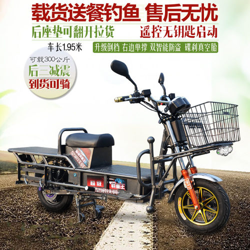 路霸电动摩托车载重长跑王瓶成人送餐代步天能铁骑60v72v96v促销 - 图0
