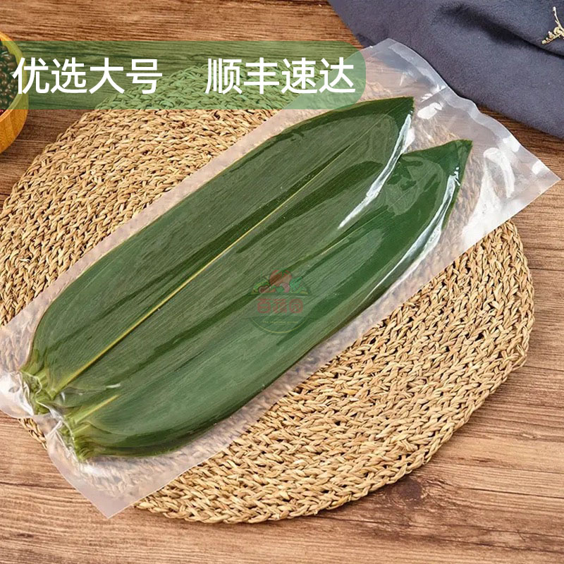 粽叶新鲜青竹叶 寿司刺身料理烤肉摆盘装饰用竹叶子真空包装100片