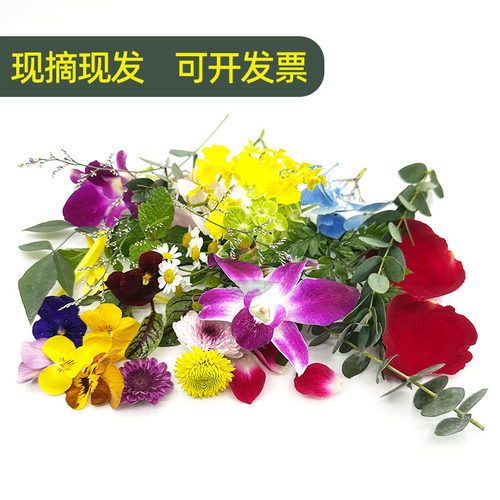 清香木新鲜胡椒木餐厅摆盘提拉米苏蛋糕装饰叶饮品点缀花草三色堇 - 图2