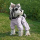 Dog four-legged dust-proof pants pet anti-dirty leg cover waterproof and urine-proof Bichon Teddy small dog walking artifact
