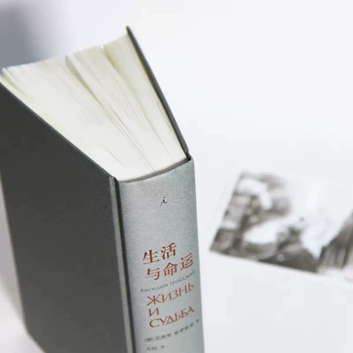 Подлинная] Жизнь и судьба Василосман Советский российский литература романы российская история Наташа танец иностранная современная литература работает Идеальное государство Советская социальная энциклопедия и мир