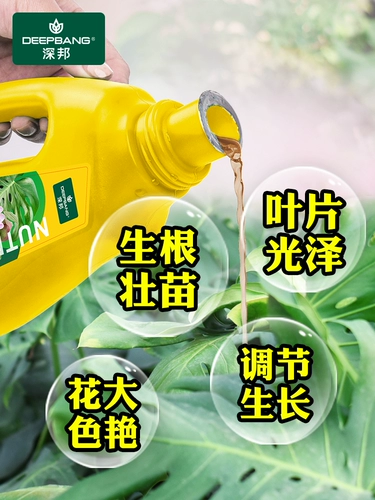 Растение Универсальное питательное жидкость Гидропонные цветы Зеленые, сочные зеленые листовые удобрения.