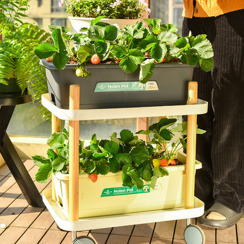 阳台种菜草莓盆栽专用盆塑料花盆家庭阳台蔬菜长方形葱种植箱室内 - 图3