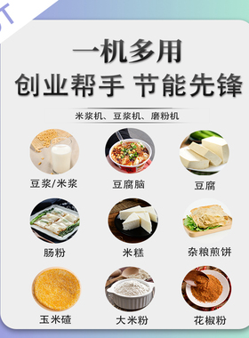电动米浆机盛狮大功率干湿两用