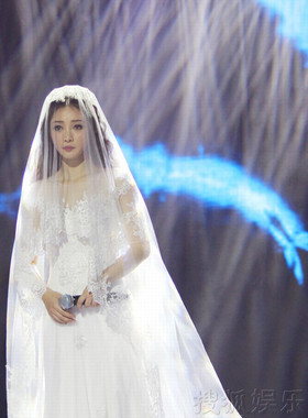 韩式新款新娘结婚柳岩硬纱婚纱