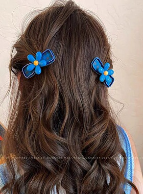韩系蓝色花朵发夹女格纹侧边夹发卡高端前额刘海夹子2026新款头饰
