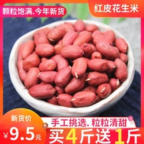 Red Peel Peanut Rice New Stock 500g Small Grain Raw Flowers Raw Rind 4 Safflower Raw Red Coat Peanut Miren Cereals