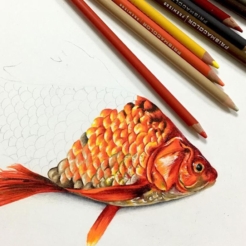 美国三福霹雳马彩铅prismacolor油性彩铅笔150色培斯玛彩色铅笔 - 图0