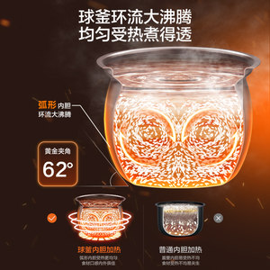 苏泊尔电压力锅家用6L大容量无涂层不锈钢内胆多功能智能压力锅