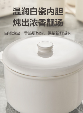 苏泊尔电炖锅炖盅隔水柔炖锅家用陶瓷煲汤燕窝煮粥辅食蒸煮电砂锅