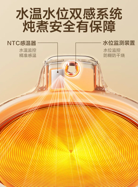 苏泊尔全玻璃有钛恒温养生壶多功能办公室炖煮一体纯茶壶烧水新款