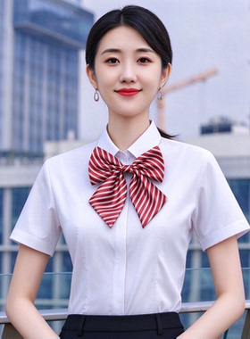 领结蝴蝶结女士工作服银行领花