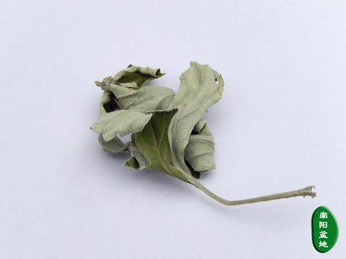 野生南阳老艾叶陈艾叶艾蒿叶艾草泡澡泡脚婴儿老人农村直发2斤包 - 图1