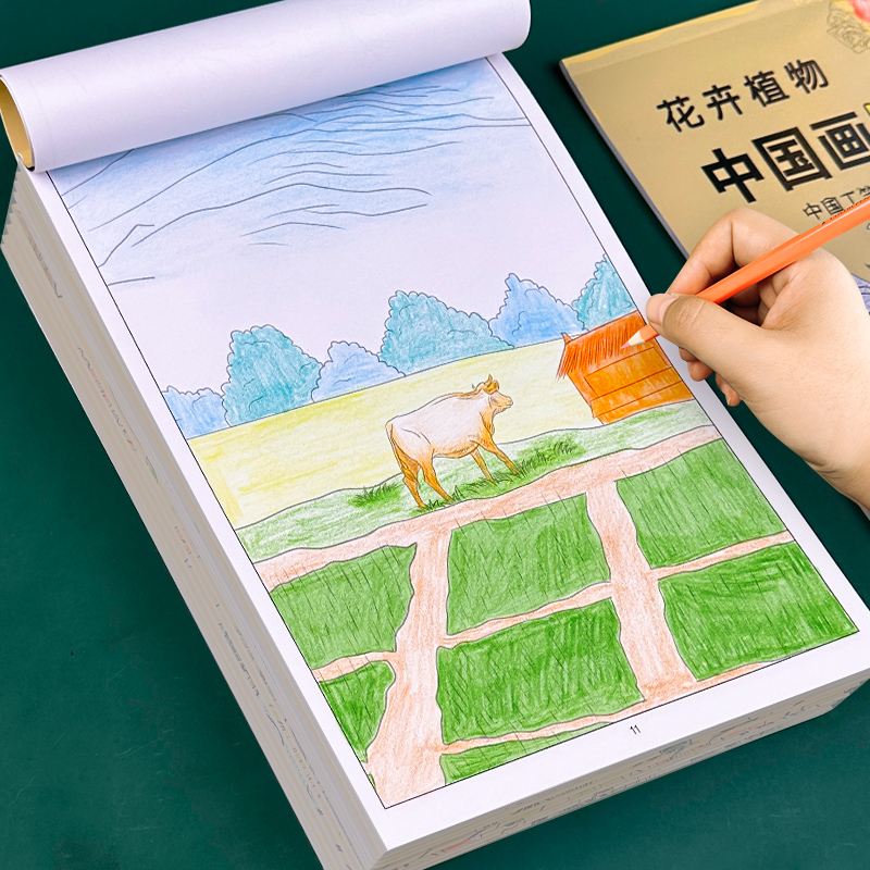 中国画白描临摹画册儿童入门初学国画工笔画底稿涂色书古风人物彩铅水彩线稿描摹本素材空白填色本手绘本花卉勾线本画稿画画书教材