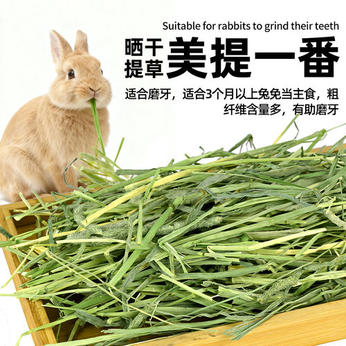 美提一番提摩西草段澳麦黄金燕麦草兔子干草粮食饲料豚鼠龙猫干草 - 图0
