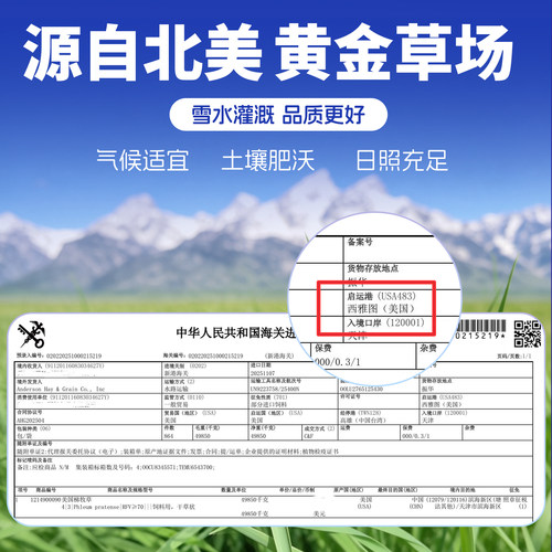 提摩西草段进口美提一番澳麦黄金燕麦草兔子干草豚鼠龙猫晒干草粮 - 图3