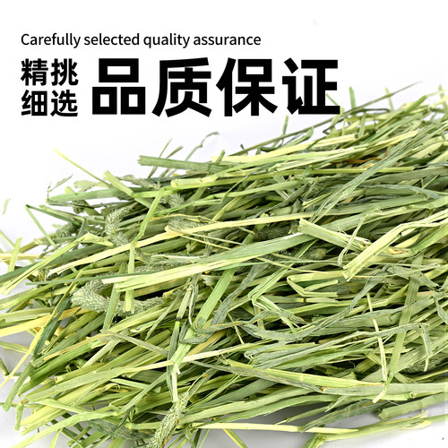 美提一番提摩西草段澳麦黄金燕麦草兔子干草粮食饲料豚鼠龙猫干草 - 图2