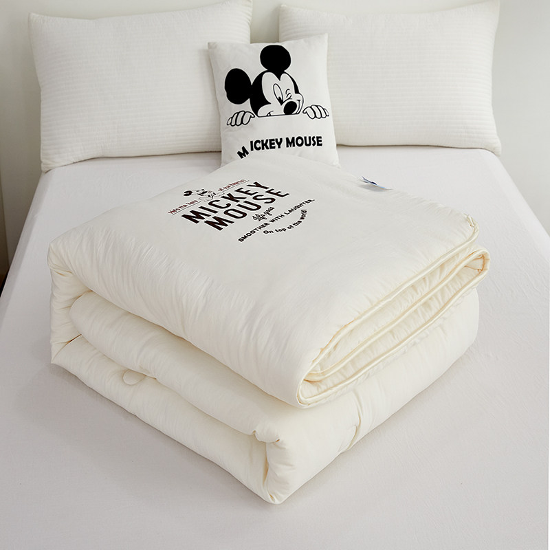 迪士尼大豆纤维被子儿童冬被加厚保暖棉被春秋被芯学生宿舍四季,淘宝优惠券,粉丝福利购,淘宝优惠卷