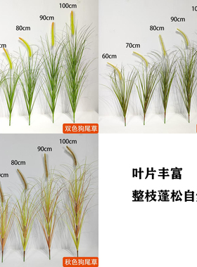单头高仿真狗尾巴草自然蓬松