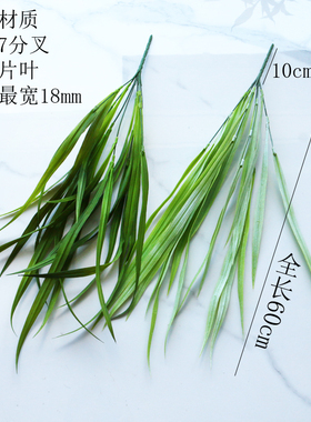 仿真观音草扁叶草麦冬草