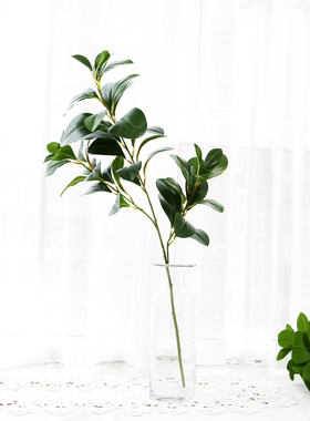 高仿真豆瓣叶北欧植物叶片厚实