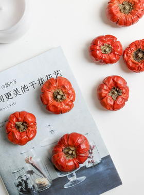 巴西进口小南瓜干花装饰摆件拍摄