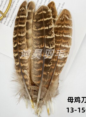 小羽毛鸡毛鸭毛diy饰品配件儿童手工美术制作逗猫棒捕梦网材料