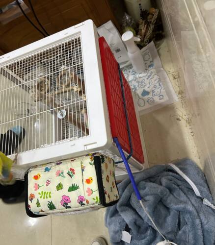 大中小号宠物电热毯防水加厚调恒温爬虫鸟垫板猫狗狗安全电加热垫 - 图3