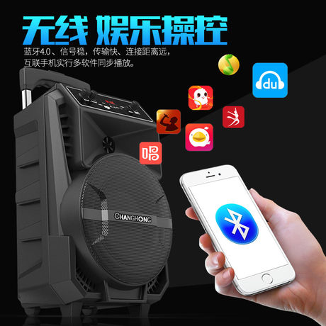 polaroid 10 bluetooth trolley speaker