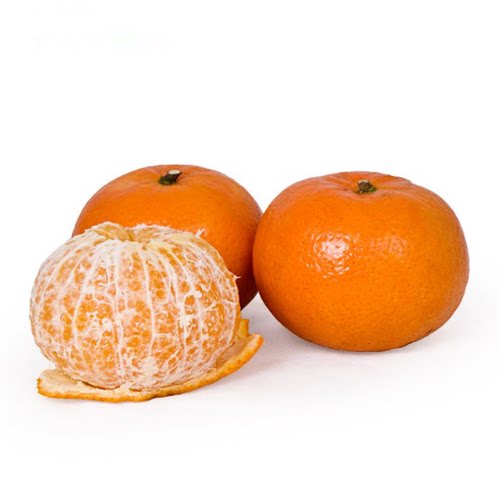 新品种沃柑树苗 嫁接沃柑苗091无核沃柑苗广西武鸣无籽沃柑果树苗 - 图3