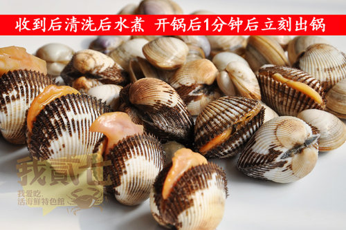 海鲜水产贝类鲜活毛蛤新鲜蛤蜊大毛蛤野生大毛蚶赤贝海毛蛤血蛤 - 图2