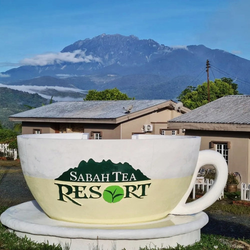 马来西亚沙巴茶 香兰味茶 Sabah Tea Pandan 30克 - 图3