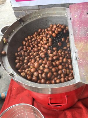 商用多功能立式炒货机燃气小型炒瓜子核桃电热摆摊糖炒板栗子机器 - 图2