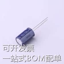 ERS1JM121G16OT 直插铝电解电容 120uF ±20% 现货 - 图1