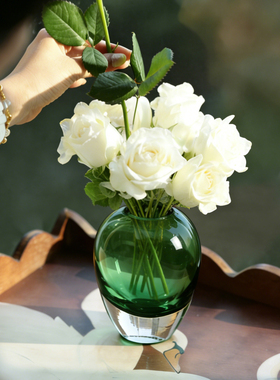 玻璃花瓶客厅餐桌摆件装饰品