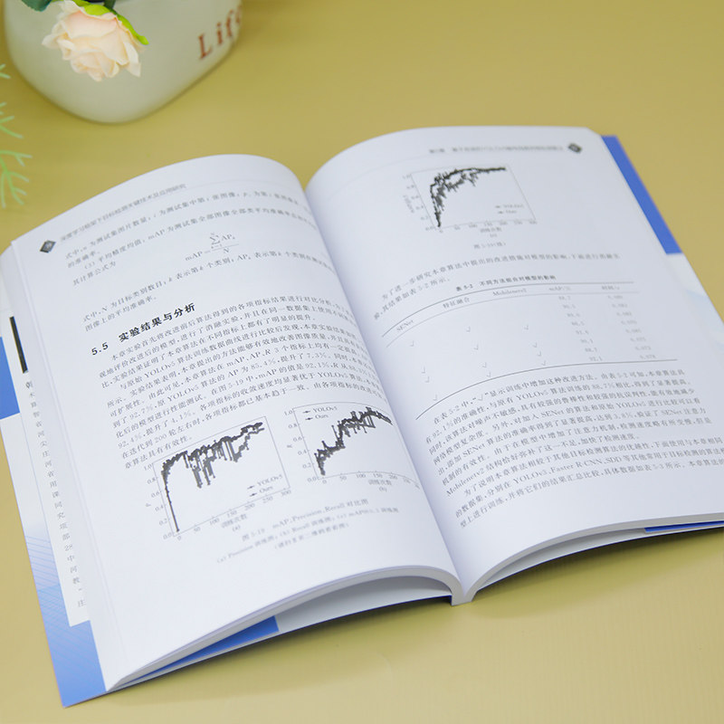 【官方正版新书】深度学习框架下目标检测关键技术及应用研究 韩明、王敬涛、刘智国 清华大学出版社 深度学习应用研究,淘宝优惠券,粉丝福利购,淘宝优惠卷