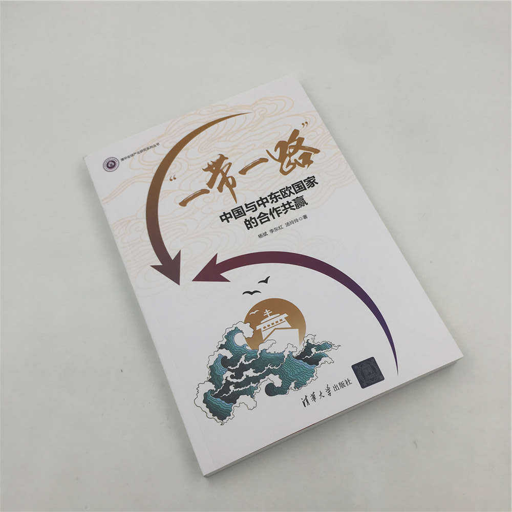 清华社直发一带一路清华大学出版社中国与中东欧国家的合作共赢杨斌李东红汤玲玲清华全球产业_虎窝淘