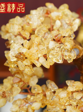 乔迁新居招财发财树摆件摇钱树