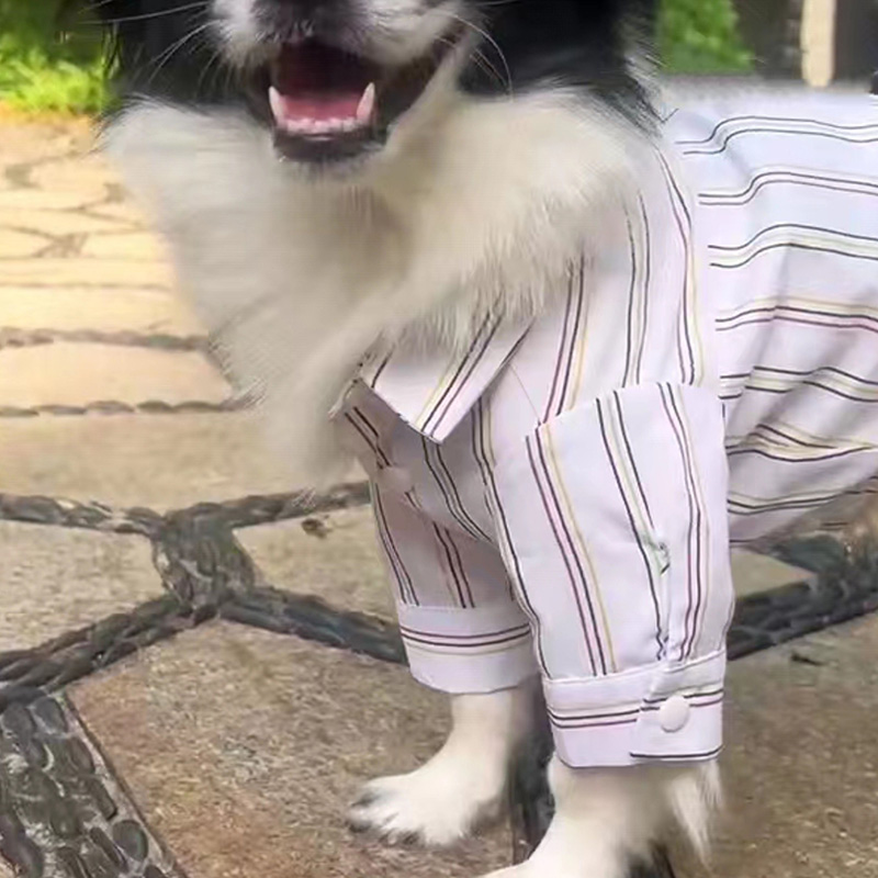 宠物服装衣服纸样大型犬衬衣DIY手工裁剪图CAD打版缝纫教程可定制 - 图1