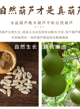 天然文玩葫芦手把件手捻带龙头紫皮绕指柔小葫芦办公室摆件